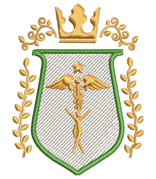 Matriz de Bordado Curso Estetica